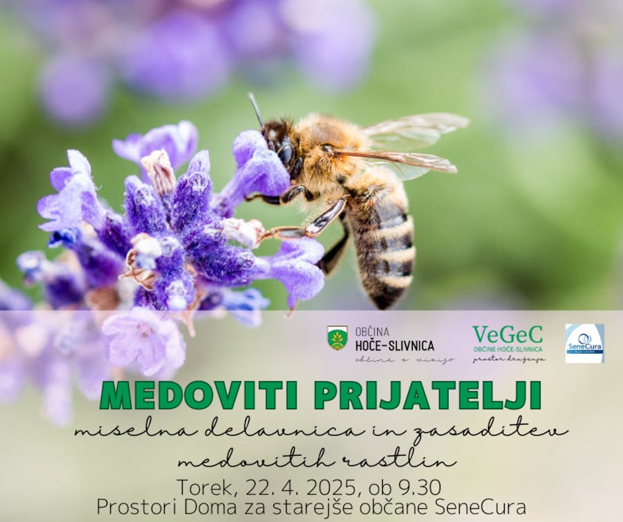 Medoviti prijatelji - miselna delavnica in zasaditev medovitih rastlin